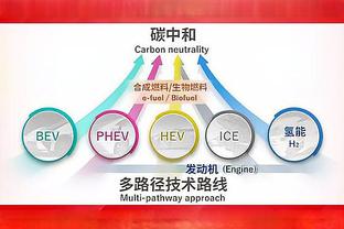 狄龙：我们近期战绩下滑 以胜利进入全明星周末有利于提升信心